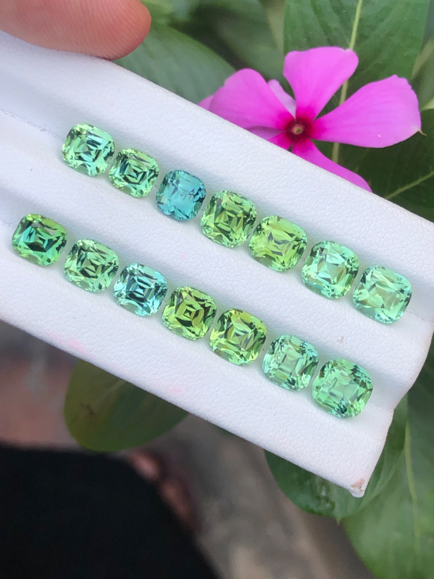 Lagoon And Mint Afghan Tourmaline Lot